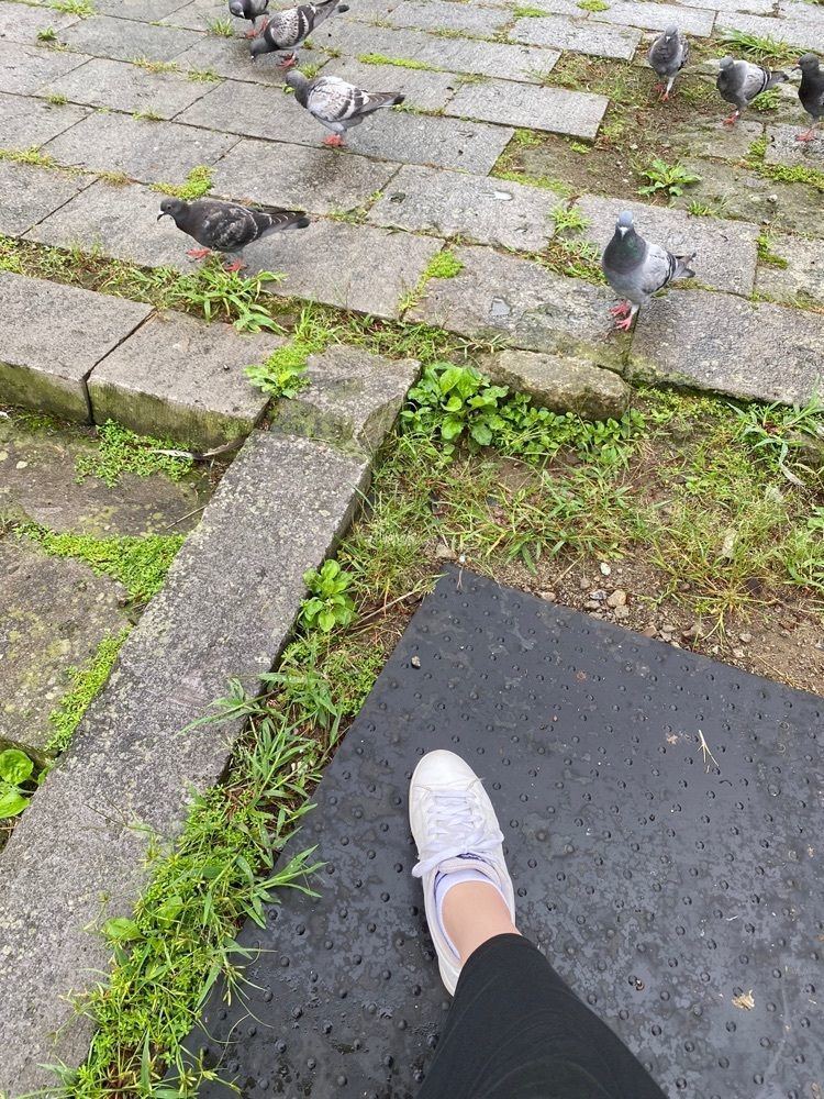 かめ_メグミの画像