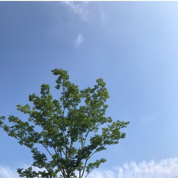 joyful_landscape_715eさんが投稿したキトラ古墳に関する口コミの画像