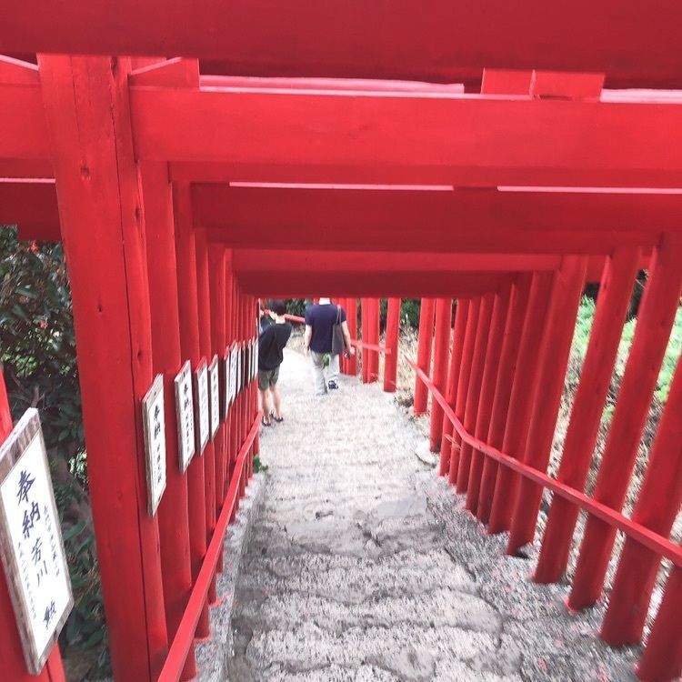 せいあさんが投稿した画像の画像
