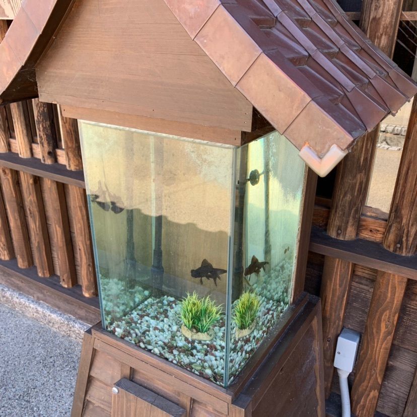 Teruさんが投稿した御菓子司 本家 菊屋 本店に関する口コミの画像