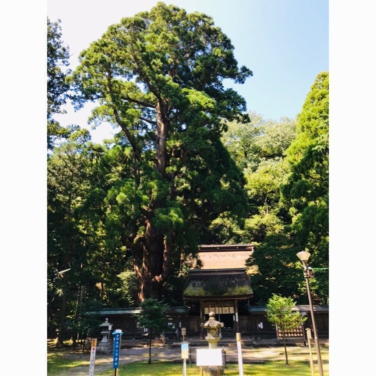 ChuChu 07さんが投稿した若狭姫神社に関する口コミの画像