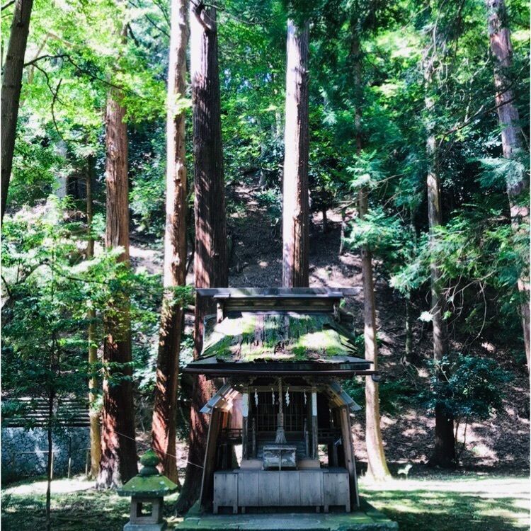ChuChu 07さんが投稿した若狭姫神社に関する口コミの画像