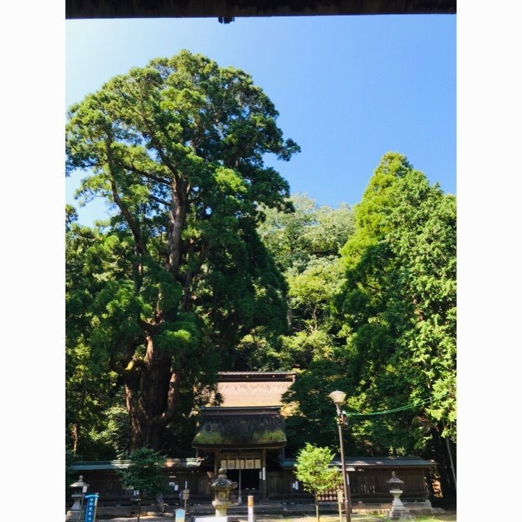 ChuChu 07さんが投稿した若狭姫神社に関する口コミの画像