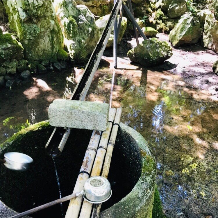 ChuChu 07さんが投稿した若狭彦神社に関する口コミの画像