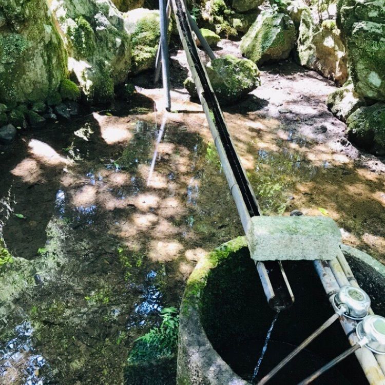 ChuChu 07さんが投稿した若狭彦神社に関する口コミの画像