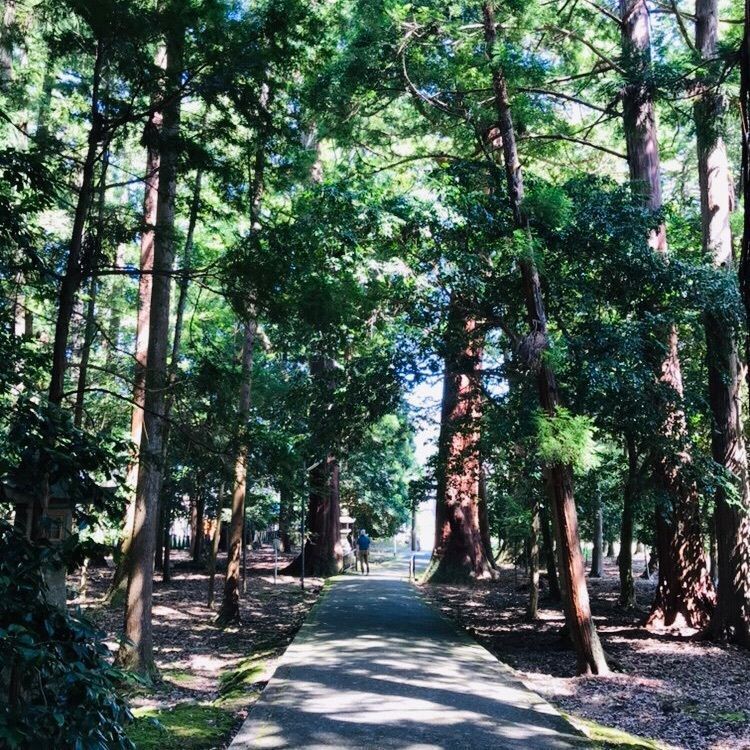 ChuChu 07さんが投稿した若狭彦神社に関する口コミの画像