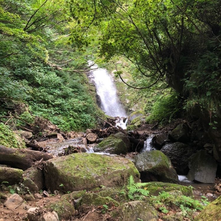 shuny0806さんが投稿した不動滝（新潟県長岡市）に関する口コミの画像