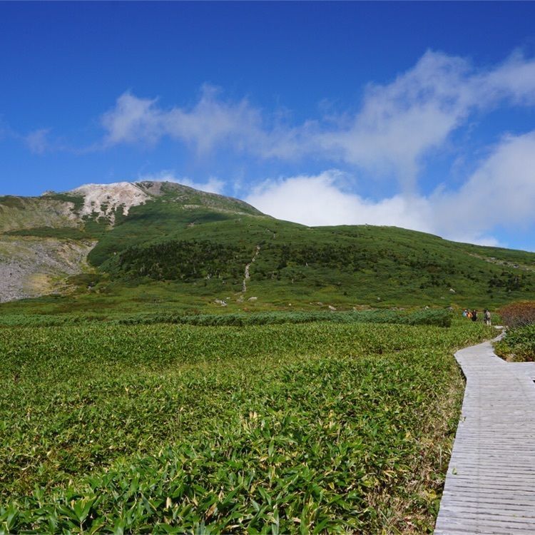 modern_anniversary_73b6さんが投稿した白峰緑の村に関する口コミの画像