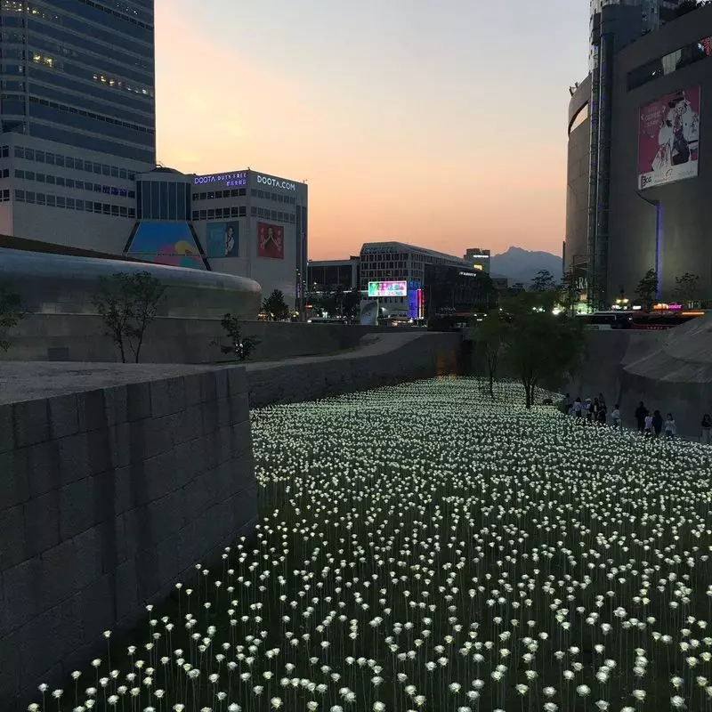 10. 韓国旅行におすすめの「東大門ファッションタウン」 1枚目