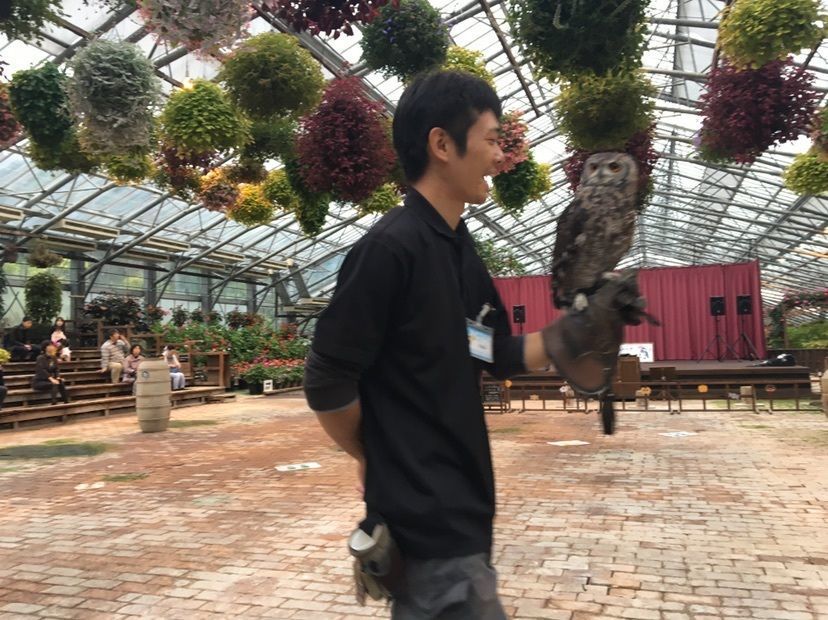 鳥のテーマパーク「松江フォーゲルパーク」への画像