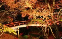 【2020】伊香保温泉の紅葉プランはこれで決まり！名所5選