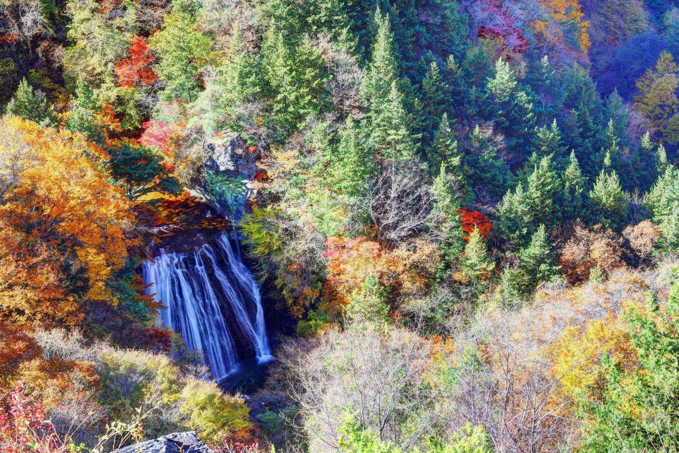 【長野】2021年の秋は蓼科で紅葉を見よう！見頃も紹介の画像