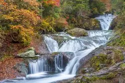 【長野】2021年の秋は蓼科で紅葉を見よう！見頃も紹介