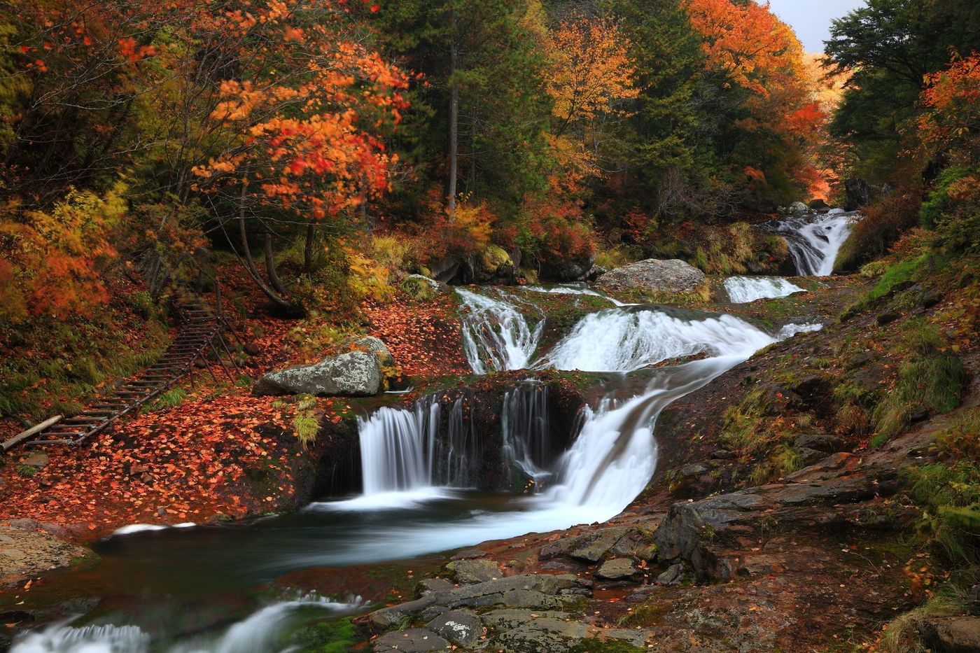 【長野】2021年の秋は蓼科で紅葉を見よう！見頃も紹介の画像