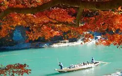 長瀞の紅葉はここで決まり！埼玉県民がおすすめする必見スポット6選