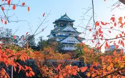 【大阪城公園×紅葉】2020年、大阪城の紅葉の攻略方法教えます◎