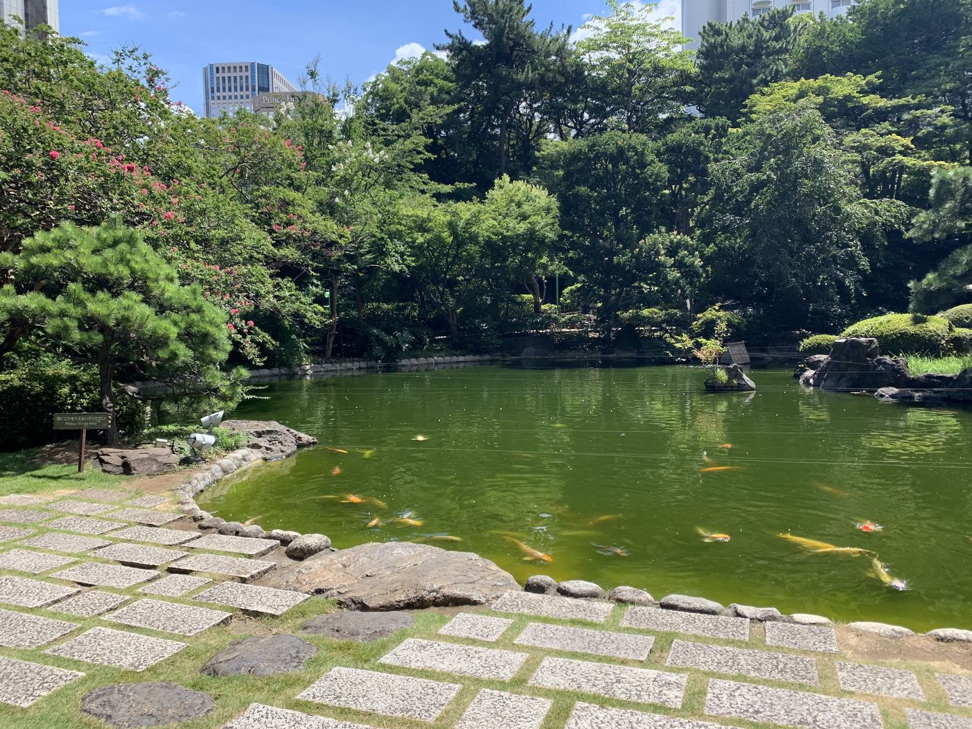 の画像