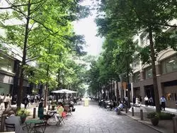 丸の内ランチおすすめ7選♡おしゃれにキメたいオトナ女子必見！