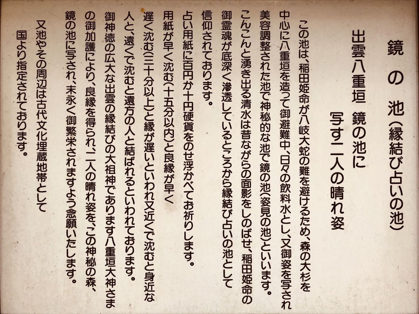 の画像