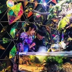 雨でもOK！【奈良祭都】の「金魚ミュージアム」でフォトジェニックを満喫♡