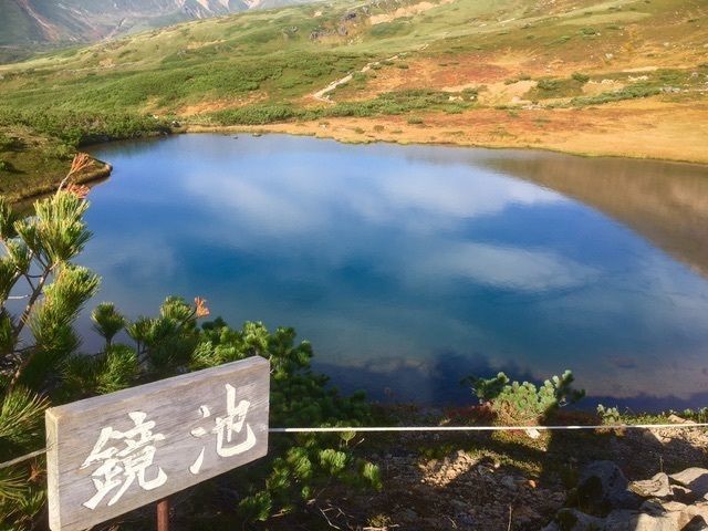 の画像