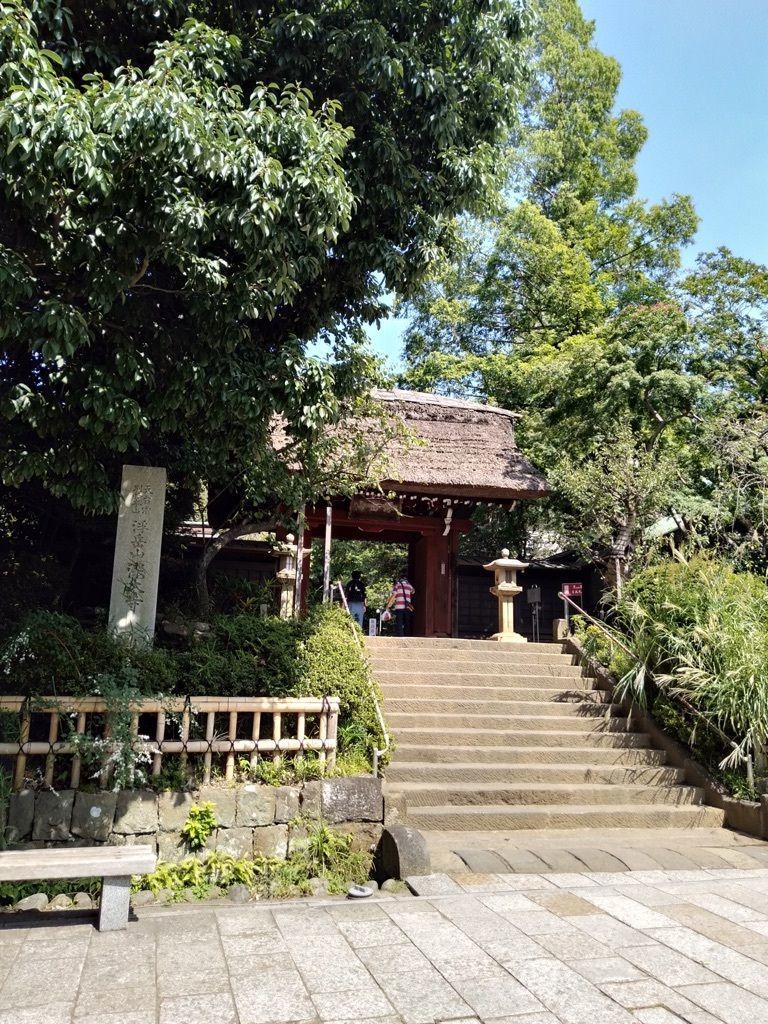 の画像