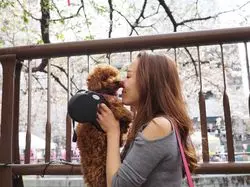 【東京】愛犬と一緒に！港区のペットOKおしゃれカフェ