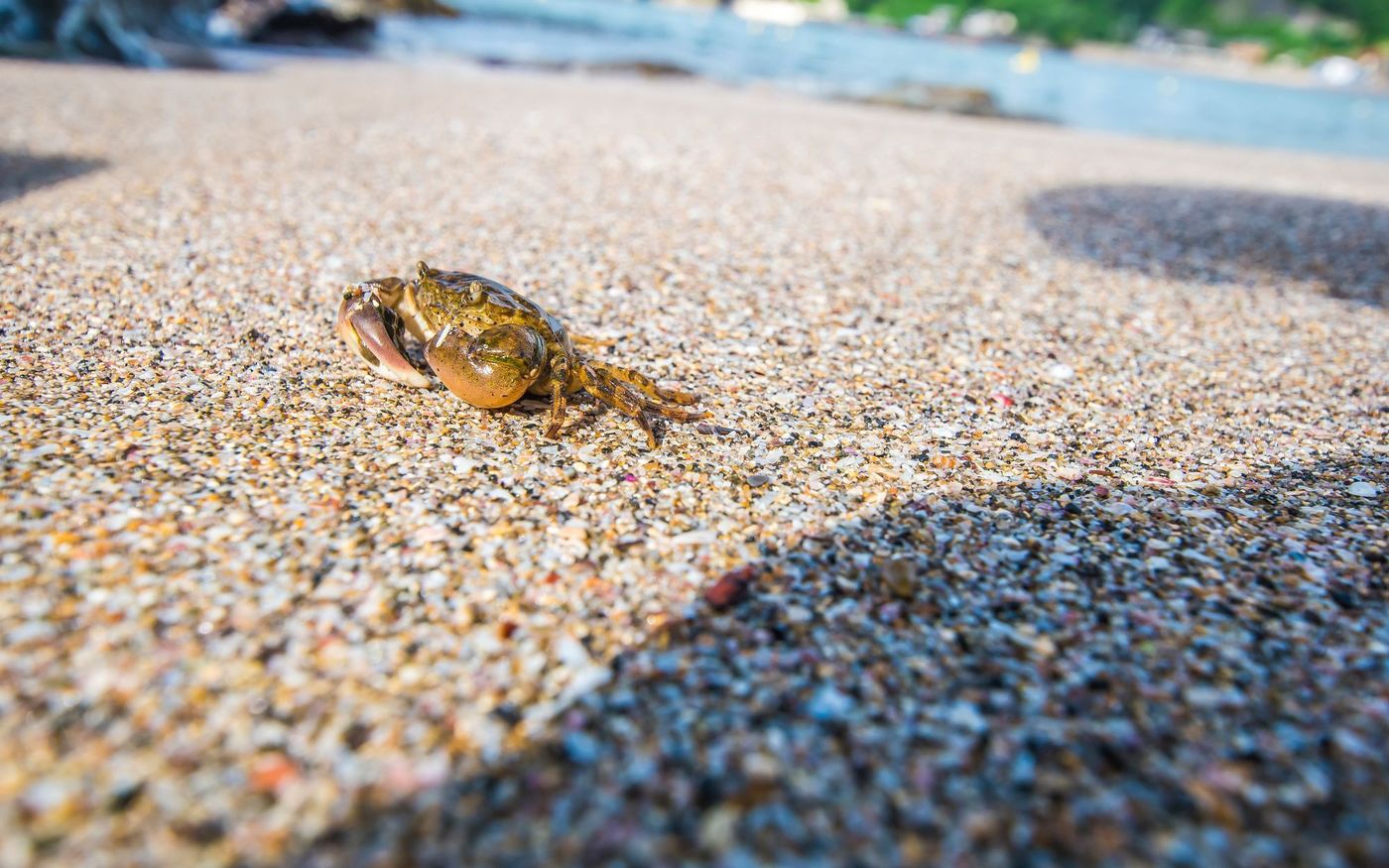 【平成最後の夏】最高の夏を過ごすなら、千葉の海で決まり♪の画像