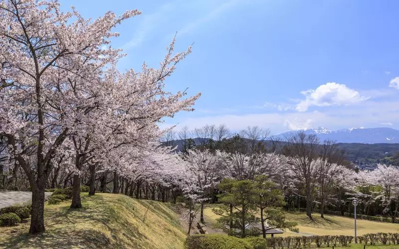 5. 稲荷山公園 1枚目