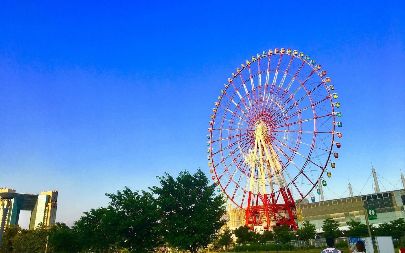 の画像