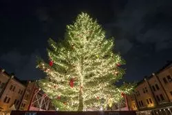 横浜が煌めく夜☆クリスマスマーケットを見に行こう！