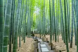 【鎌倉】古都鎌倉のお寺！くつろぎの空間に出かけよう♪