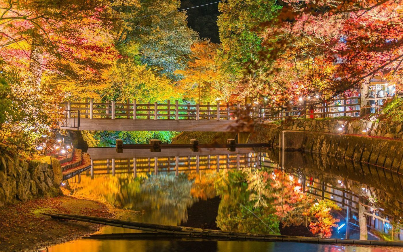 の画像
