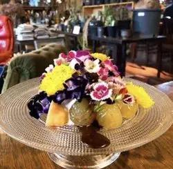【京都】キングオブインスタ映え！異空間カフェ「秘密基地植物園」