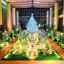 本当は内緒にしたい…。「奇跡の星の植物館」のイルミを独り占め♡