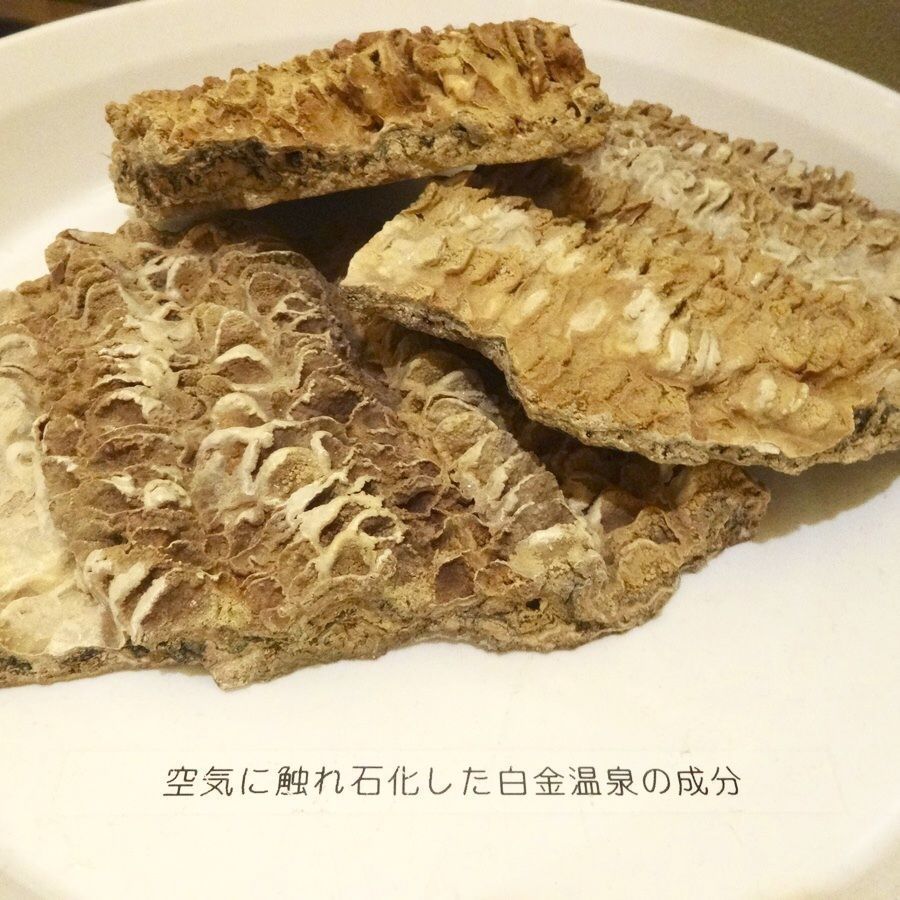 の画像