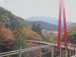 ドライブとグルメを楽しむ旅♪愛媛のおでかけスポットはココだ！