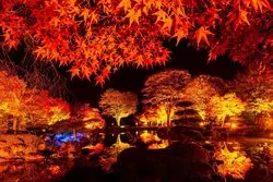 【1分で巡る絶景】水面に移る自然の奇跡”紅葉”。心奪われる秋の絶景へ