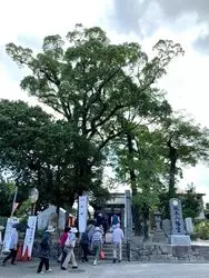 令和の由来！福岡で歴史的な大宰府を訪ねてはいかが！？