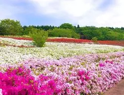 【金沢】絶景！晴れの日にピッタリおすすめスポット♡
