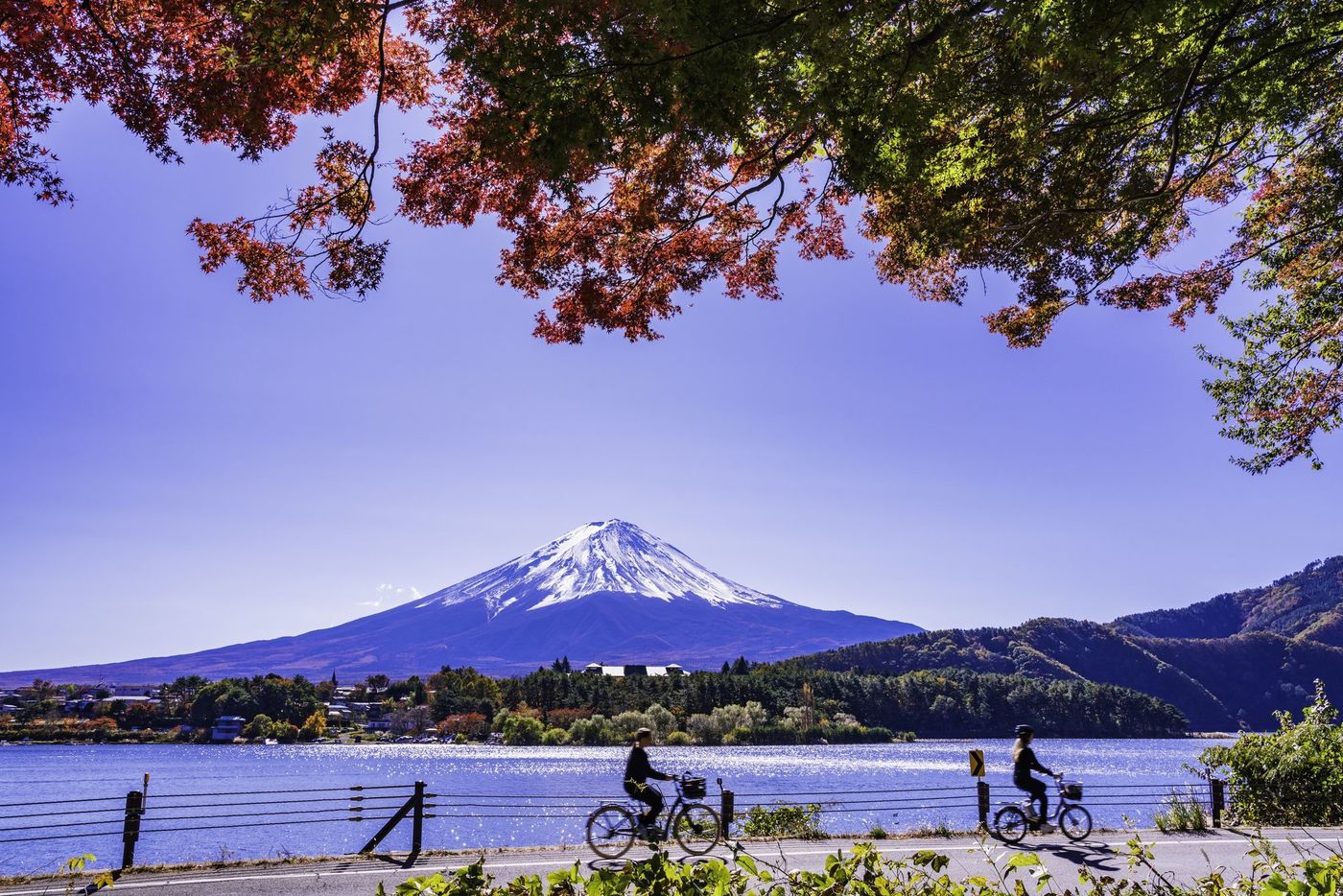 の画像