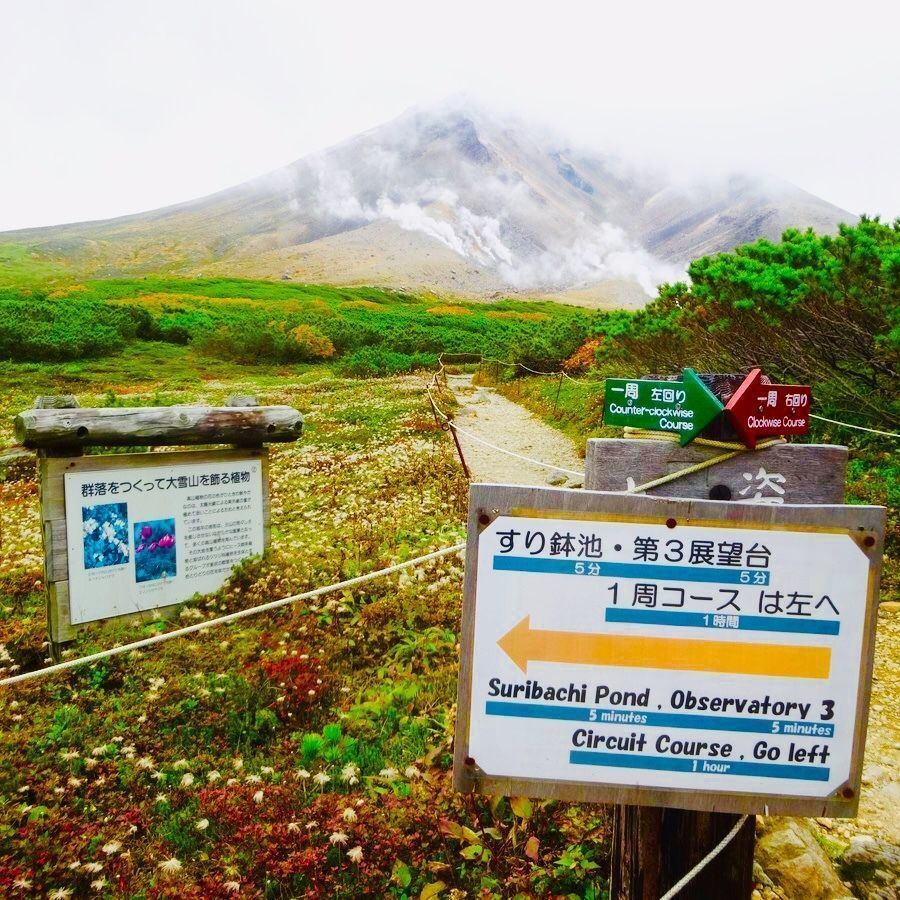 の画像