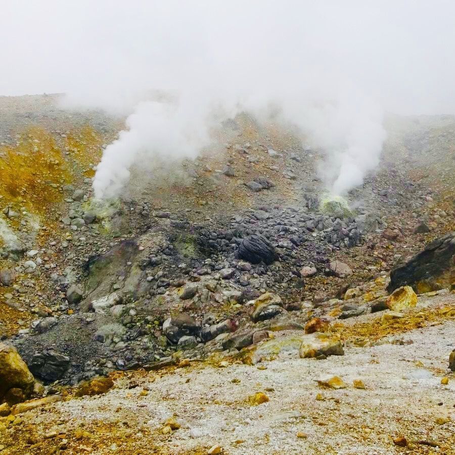 の画像