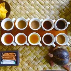 バリ島ならではの味！希少価値のあるジャコウネコ珈琲を飲みに行こう♪