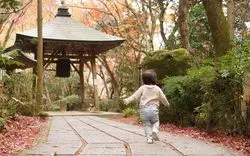 広島市内にある秘境「三滝寺」で美しい日本の秋を感じよう