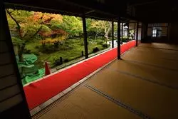 秋の風情溢れる♡京都・叡山電鉄に乗って、紅葉＆竹林を見に行こう◎