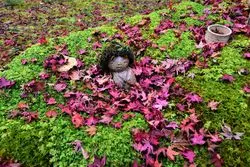 苔の緑と紅葉のコラボ♡三千院で京都の秋を満喫しよう！