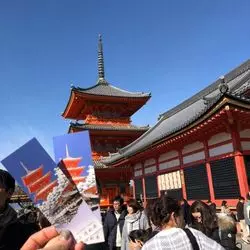 【京都】風情のある食べ歩きの旅