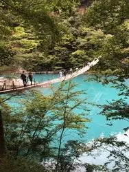 静岡で綺麗な写真を撮る旅