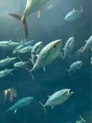 葛西臨海公園でのんびり 秋のお出かけ